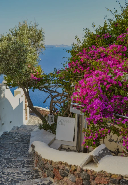 /images/destinations/santorini/image-2.webp